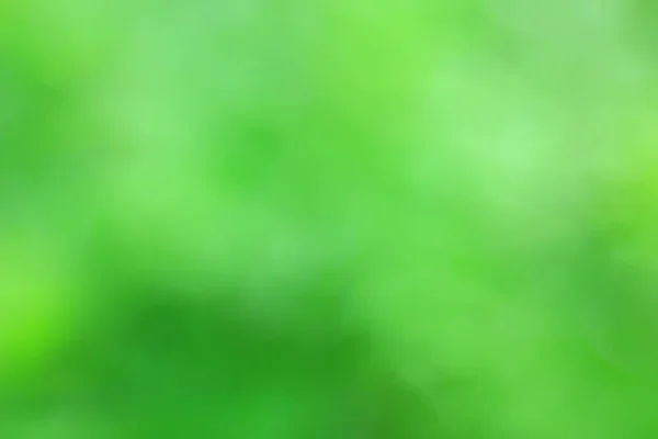Abstrakt Grün Sommer Bokeh Hintergrund Farbverlauf Ansicht Kunst Textur Glühen — Stockfoto