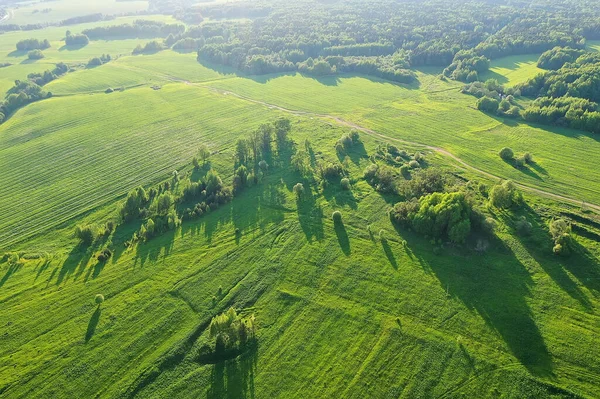 Grünes Gras Draufsicht Abstrakte Natur Feld Hintergrund — Stockfoto