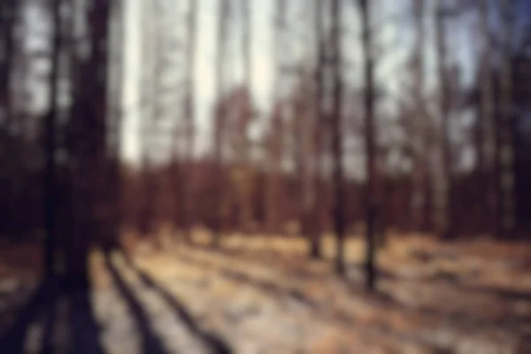 Verschwommener Hintergrund Herbst Wald Abstrakte Kunst Sonnig Herbst Park Glühen — Stockfoto