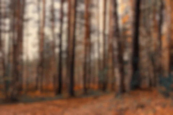 Suddig Bakgrund Höst Skog Abstrakt Konst Solig Höst Park Glöd — Stockfoto