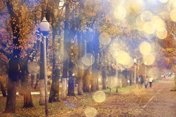 Herbst Landschaft Hintergrund Sonnenstrahlen Wald Park Bäume Saisonblick Oktober — Stockfoto