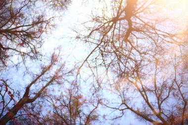 Şehrin arka planındaki sonbahar parkı, soyut sonbahar manzarası