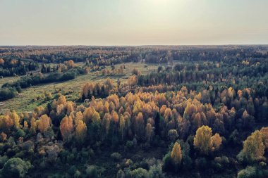 Sonbahar orman manzarası, insansız hava aracının görüntüsü, Ekim parkında yukarıdan izlenen hava fotoğrafları.
