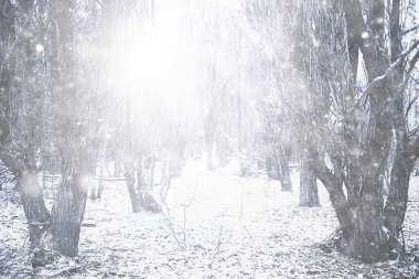 Parka ilk kar yağışının soyut yeni yıl görüntüsü