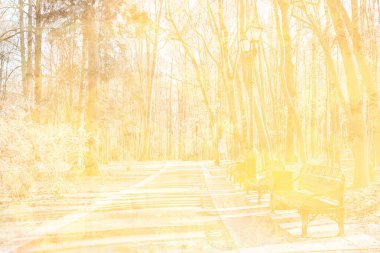 Soyut arka plan sonbahar parkı sarı eski