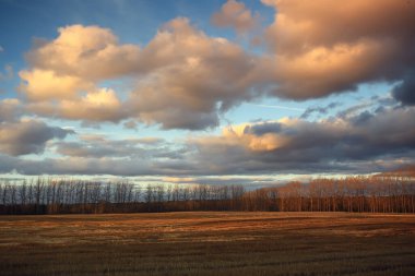dramatik sonbahar manzarası gökyüzü soyut kavram hüznü