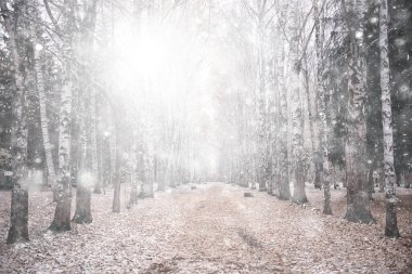 Parka ilk kar yağışının soyut yeni yıl görüntüsü