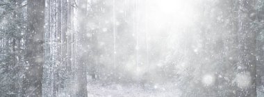 Parka ilk kar yağışının soyut yeni yıl görüntüsü