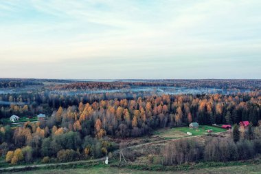 Sonbahar orman manzarası, insansız hava aracının görüntüsü, Ekim parkında yukarıdan izlenen hava fotoğrafları.