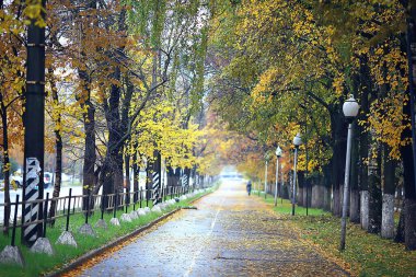 Sonbahar mevsimi parktaki manzara, sarı ağaçların arka planı.