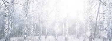 Parka ilk kar yağışının soyut yeni yıl görüntüsü