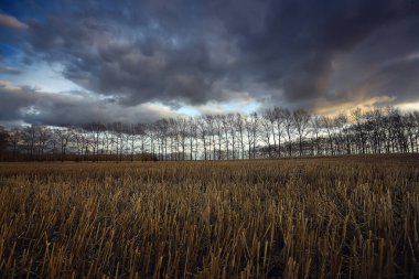 dramatik sonbahar manzarası gökyüzü soyut kavram hüznü