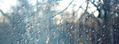 Camdaki yağmur damlaları, pencereden manzara sonbahar ormanı, park