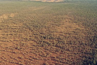 Sonbahar orman manzarası, insansız hava aracının görüntüsü, Ekim parkında yukarıdan izlenen hava fotoğrafları.