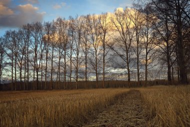 dramatik sonbahar manzarası gökyüzü soyut kavram hüznü
