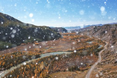 Altai rusya manzarası, sonbahar manzarası, orman üzerinde insansız hava aracı