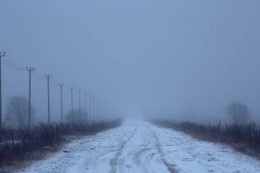 Sis konseptinde yol, Cadılar Bayramı 'nda sis, otoyol