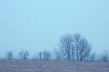 dramatik sonbahar manzarası gökyüzü soyut kavram hüznü