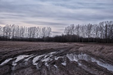 dramatik sonbahar manzarası gökyüzü soyut kavram hüznü
