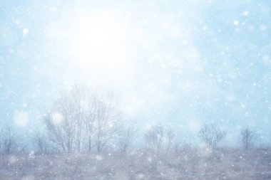 Parka ilk kar yağışının soyut yeni yıl görüntüsü