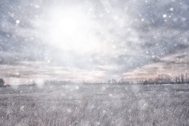 Parka ilk kar yağışının soyut yeni yıl görüntüsü