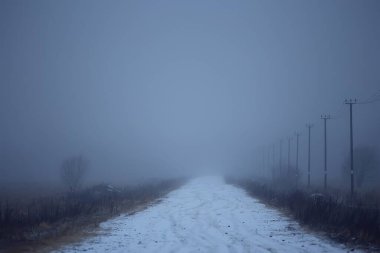 Sis konseptinde yol, Cadılar Bayramı 'nda sis, otoyol