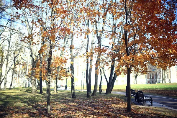 Outono Temporada Paisagem Parque Vista Das Árvores Amarelas Beco Fundo — Fotografia de Stock