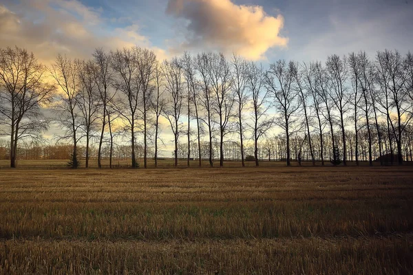 Dramático Outono Paisagem Campo Céu Abstrato Conceito Tristeza — Fotografia de Stock