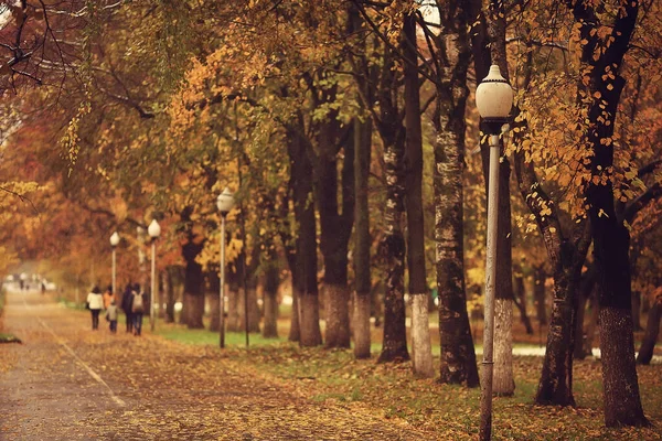 Otoño Estación Paisaje Parque Vista Los Árboles Amarillos Callejón Fondo — Foto de Stock