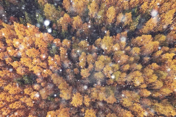 Herbst Panorama Drohne Landschaft Herbst Natur Von Oben — Stockfoto