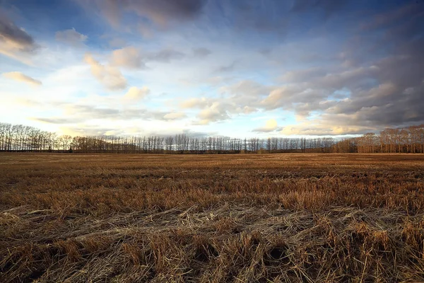 Dramatisch Herfst Landschap Veld Hemel Abstract Concept Verdriet — Stockfoto