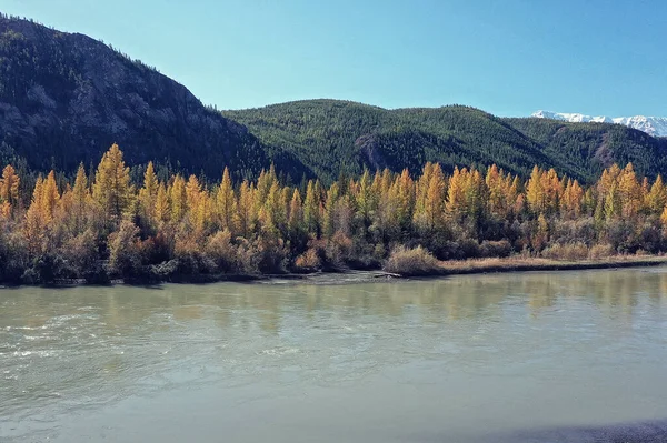 Krajina Altai Rusko Podzimní Pohled Shora Dron Nad Lesem — Stock fotografie