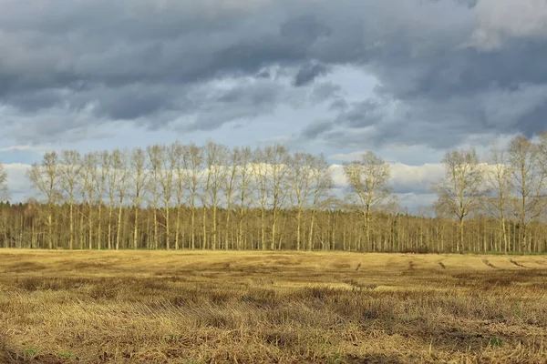 Dramatisk Höst Landskap Fält Himmel Abstrakt Begrepp Sorg — Stockfoto