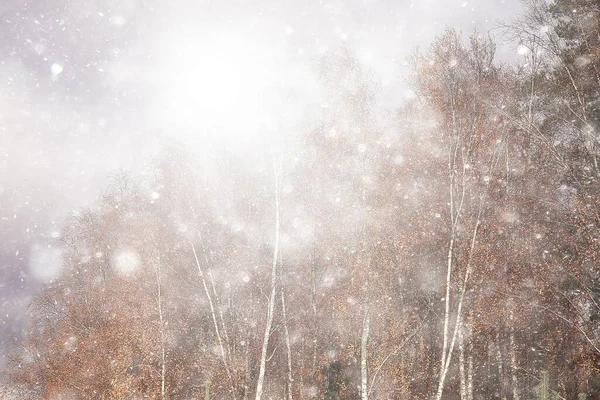 Eerste Sneeuw Het Park Abstract Nieuwjaar Uitzicht — Stockfoto