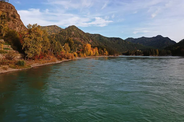 Paisagem Vista Superior Rio Outono Floresta Drone Bela Viagem — Fotografia de Stock