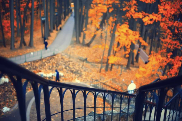 Herbst Saison Landschaft Park Blick Auf Gelbe Bäume Allee Hintergrund — Stockfoto