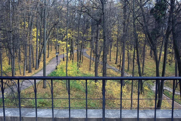 Parc Automne Dans Paysage Fond Ville Vue Automne Abstraite — Photo