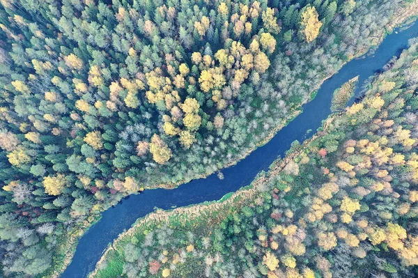 landscape top view, river autumn forest drone, beautiful journey