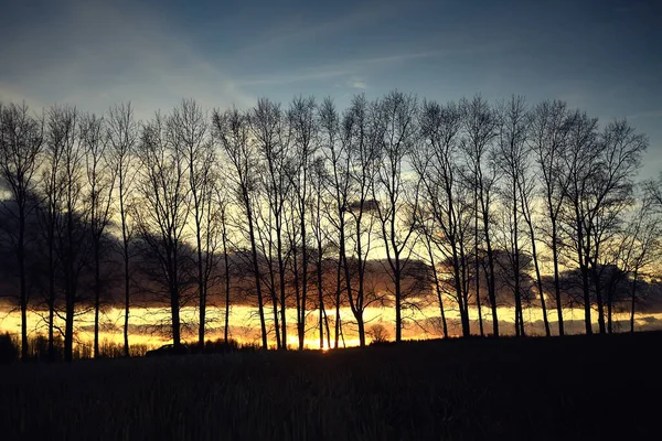 Dramatyczne Jesień Krajobraz Pole Niebo Abstrakcyjne Pojęcie Smutek — Zdjęcie stockowe