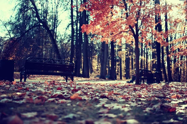 View Branches Leaves Background Abstract Stress Sadness — Stock Photo, Image