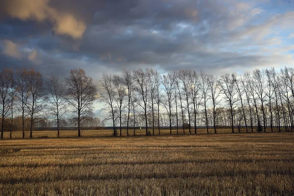 Dramatyczne Jesień Krajobraz Pole Niebo Abstrakcyjne Pojęcie Smutek — Zdjęcie stockowe