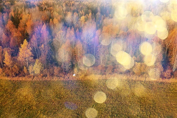 Paysage Forestier Automne Vue Depuis Drone Photographie Aérienne Vue Haut — Photo