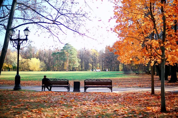 Efterårssæsonen Landskab Parken Udsigt Gule Træer Gyde Baggrund - Stock-foto