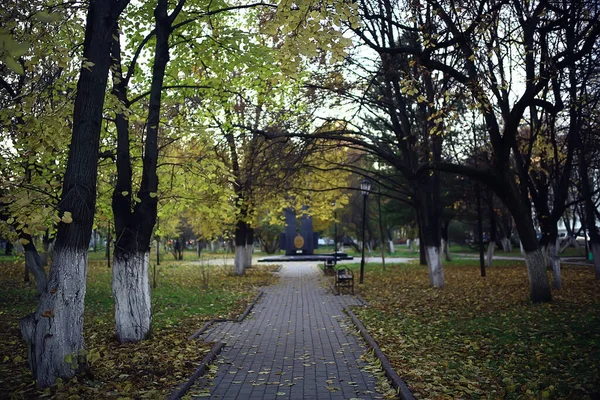 Herfst Seizoen Landschap Park Uitzicht Gele Bomen Steegje Achtergrond — Stockfoto