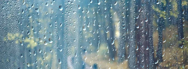 Gotas Lluvia Sobre Vidrio Vista Través Ventana Paisaje Bosque Otoño —  Fotos de Stock