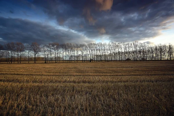 Dramatischer Herbst Landschaft Feld Himmel Abstraktes Konzept Traurigkeit — Stockfoto