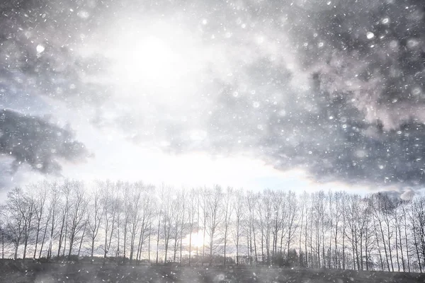 Prima Neve Nel Parco Astratto Nuovo Anno Vista — Foto Stock