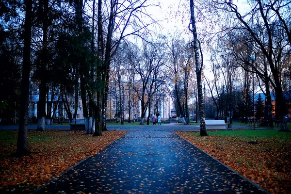 Осінній Сезон Пейзаж Парку Вид Жовті Дерева Алея Фону — стокове фото