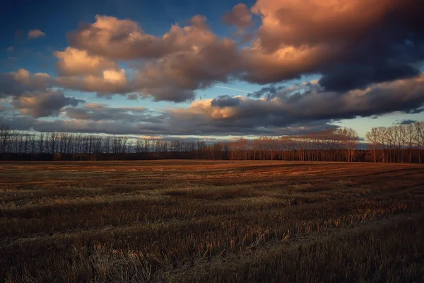 Dramático Outono Paisagem Campo Céu Abstrato Conceito Tristeza — Fotografia de Stock