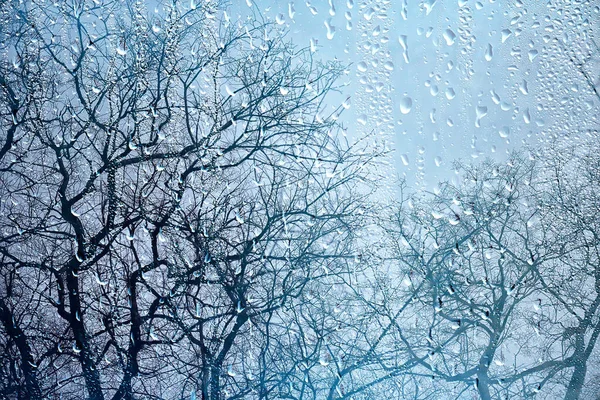 雨滴落在玻璃上 透过窗户眺望秋天的森林 — 图库照片